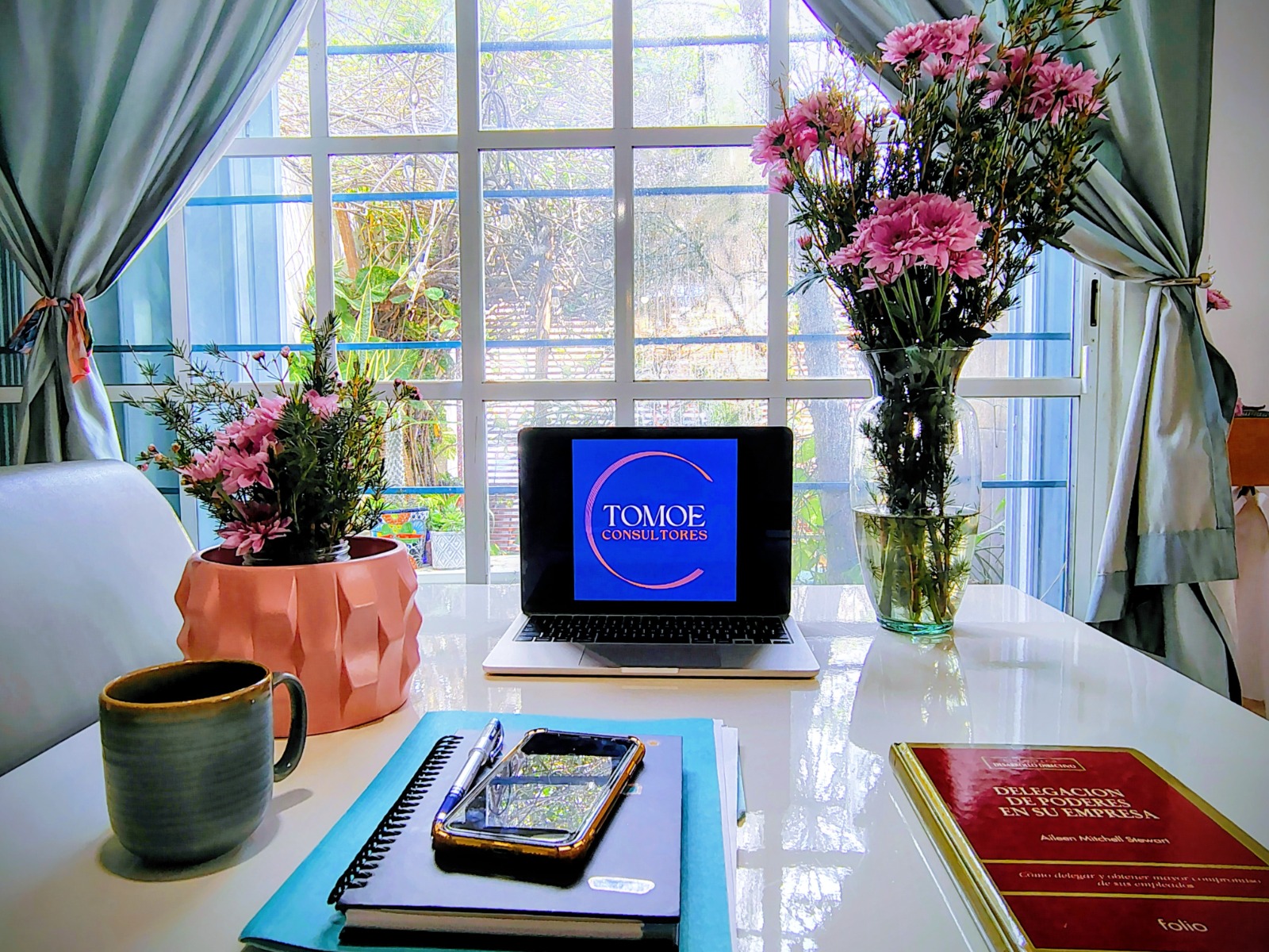 Consultoría profesional